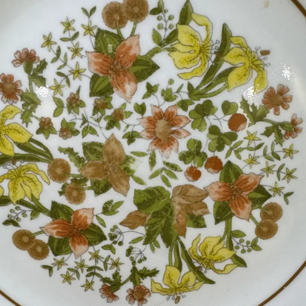 5 Vintage Corelle Indian Summer Salad Plates 8 1/2
